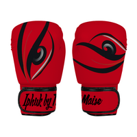 Iphuk Eye 2 Eye Professional Training Boxing Gloves 10oz