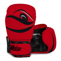 Iphuk Eye 2 Eye Professional Training Boxing Gloves 10oz